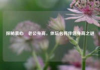 探秘袁心玥老公身高，体坛名将伴侣身高之谜