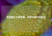 斩赤瞳之王者荣耀，异界王者对决解说