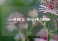Steam玩家论坛，游戏世界的交流乐园