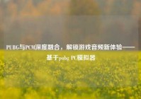 PUBG与PCM深度融合，解锁游戏音频新体验——基于pubg PC模拟器