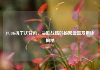 PUBG抗干扰背包，决胜战场的秘密武器及用途揭秘