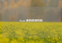 Steam 库的哎呀时刻