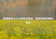 探秘仙某人PUBG网名及真名，游戏世界的独特印记