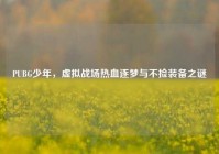 PUBG少年，虚拟战场热血逐梦与不捡装备之谜