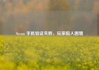 Steam 手机验证失败，玩家陷入困境