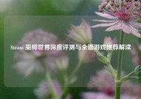 Steam 巫师世界深度评测与全面游戏推荐解读