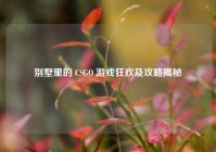 别墅里的 CSGO 游戏狂欢及攻略揭秘