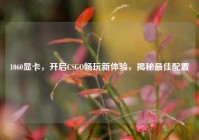 1060显卡，开启CSGO畅玩新体验，揭秘最佳配置