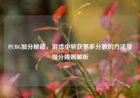 PUBG加分秘籍，游戏中斩获更多分数的方法及加分规则解析