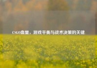 CSGO血量，游戏平衡与战术决策的关键