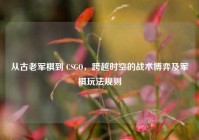 从古老军棋到 CSGO，跨越时空的战术博弈及军棋玩法规则