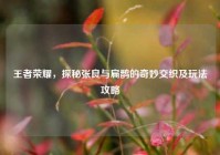 王者荣耀，探秘张良与扁鹊的奇妙交织及玩法攻略
