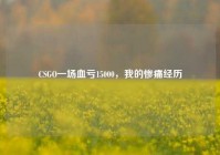 CSGO一场血亏15000，我的惨痛经历