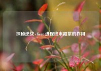 探秘逆战 client 进程终末霞紫的作用