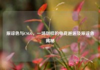 原谅色与CSGO，一场别样的电竞邂逅及原谅色揭秘
