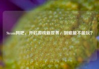 Steam网吧，开启游戏新世界，到底能不能玩？