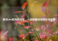 探寻2004欧洲杯冠军，一段颠覆传统的足球传奇