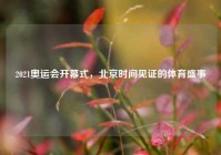 2021奥运会开幕式，北京时间见证的体育盛事