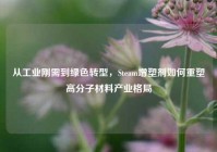 从工业刚需到绿色转型，Steam增塑剂如何重塑高分子材料产业格局