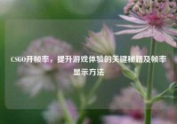 CSGO开帧率，提升游戏体验的关键秘籍及帧率显示方法