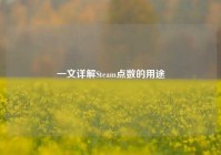一文详解Steam点数的用途