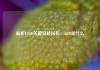 解析CSGO关键竞技指标，ADR是什么