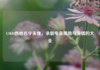 CSGO伤感名字头像，承载电竞孤独与深情的大全