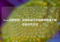 Steam点数收回，玩家权益与平台规则碰撞下能否退点引关注