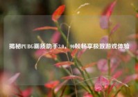 揭秘PUBG画质助手3.0，90帧畅享极致游戏体验