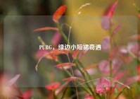 PUBG，绿边小短裙奇遇