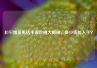 和平精英电话手表价格大揭秘，多少钱能入手？