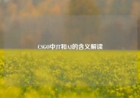 CSGO中JT和AJ的含义解读