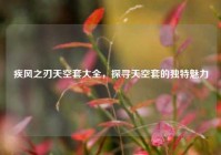 疾风之刃天空套大全，探寻天空套的独特魅力
