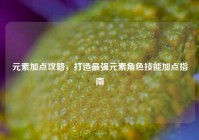 元素加点攻略，打造最强元素角色技能加点指南