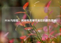 PUBG与硅脂，揭秘电竞硬件背后的散热奥秘
