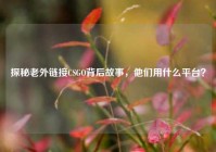 探秘老外链接CSGO背后故事，他们用什么平台？