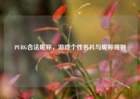 PUBG合法昵称，游戏个性名片与昵称规则