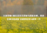 王者荣耀S7橘右京符文获取与搭配全解，穿透拉满冷却适配 边路野区双T0神梦一刀