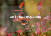 驭剑士武器深度解析与选择建议