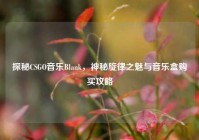 探秘CSGO音乐Blank，神秘旋律之魅与音乐盒购买攻略