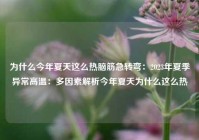 为什么今年夏天这么热脑筋急转弯：2023年夏季异常高温：多因素解析今年夏天为什么这么热
