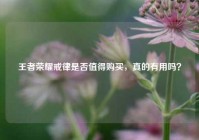 王者荣耀戒律是否值得购买，真的有用吗？
