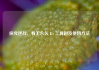 探究逆战，有无永久 C4 工具钳及使用方法