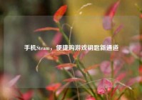 手机Steam，便捷购游戏钥匙新通道