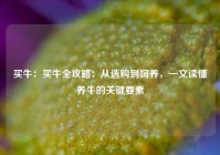 买牛：买牛全攻略：从选购到饲养，一文读懂养牛的关键要素