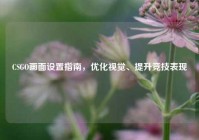 CSGO画面设置指南，优化视觉、提升竞技表现
