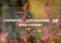 王者荣耀发动态，开启峡谷社交新体验，对面能否看到动态表情？
