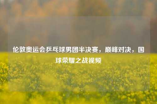 伦敦奥运会乒乓球男团半决赛,巅峰对决,国球荣耀之战视频