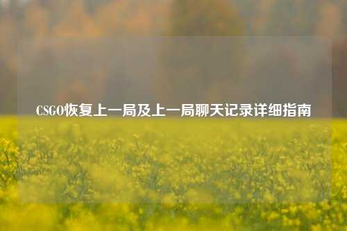 CSGO恢复上一局及上一局聊天记录详细指南