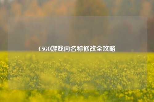 CSGO游戏内名称修改全攻略
